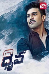 Watch Sarrainodu Movie in Telugu  Sarrainodu 2016 Telugu 