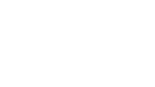 Sword Master