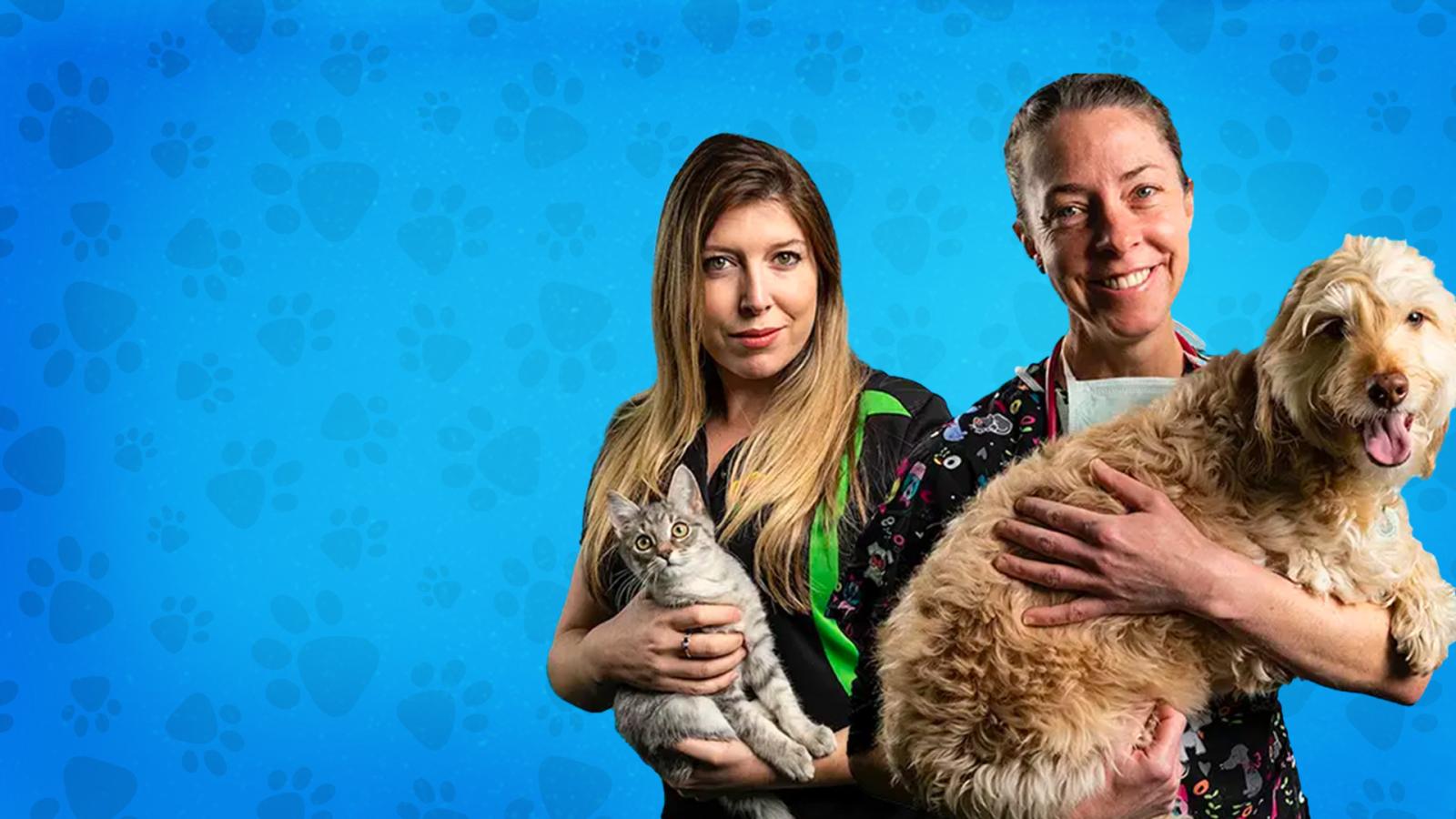 Animal Rescuers Tv Show 60 Photos - Moonagedaydream.film