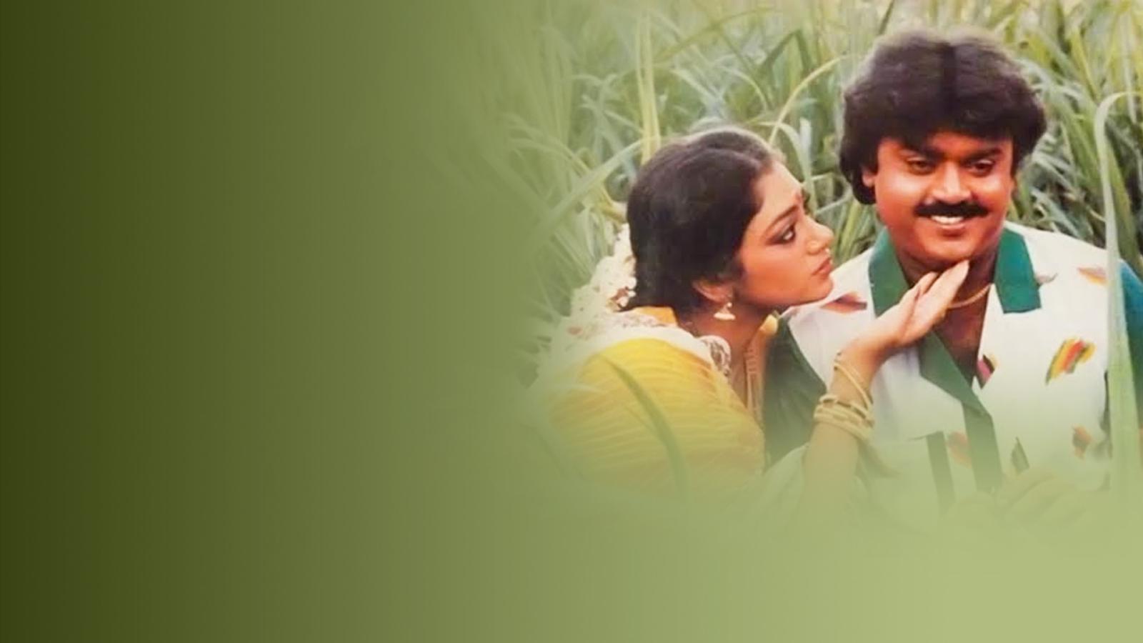 Watch Ponmana Selvan Full Movie Online for Free in HD | Amazon MX Player