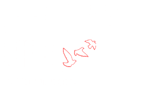 Chidiya Udd