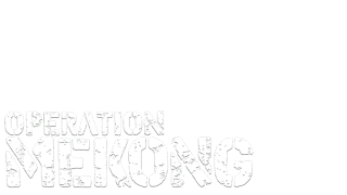 Operation Mekong