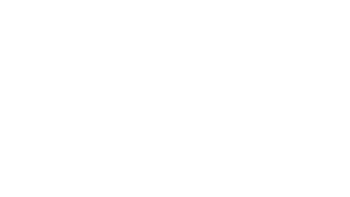 The Digital Thief