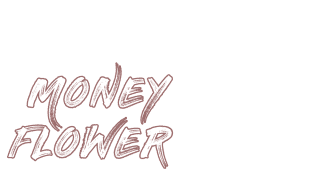 Money Flower